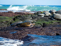 Shipman Beach