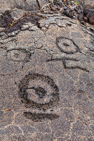 Pu’u Loa Petroglyphs