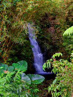Onomea Falls
