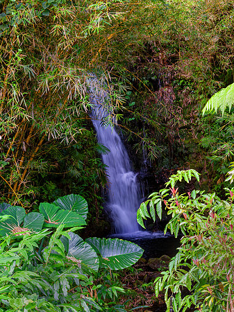 Onomea Falls