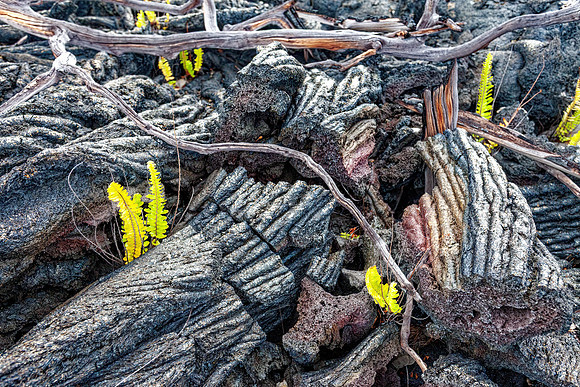 Hawaii Volcanoes NP