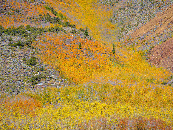 North Lake - Bishop