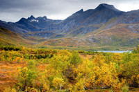 Fall Colors
