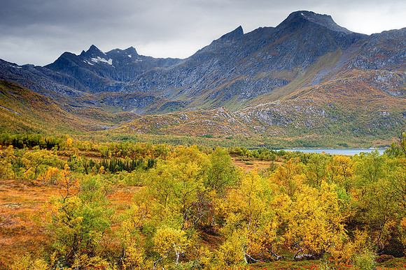 Fall Colors