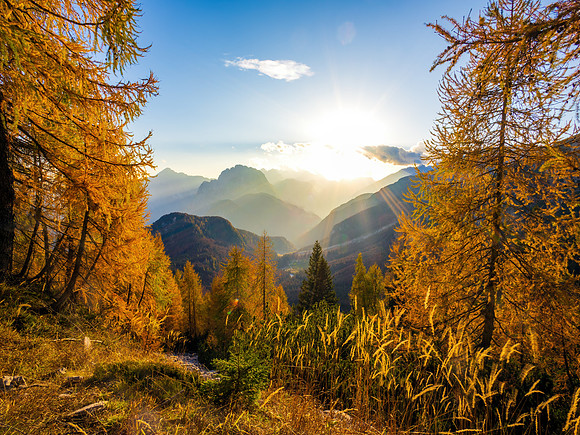 Fall colors