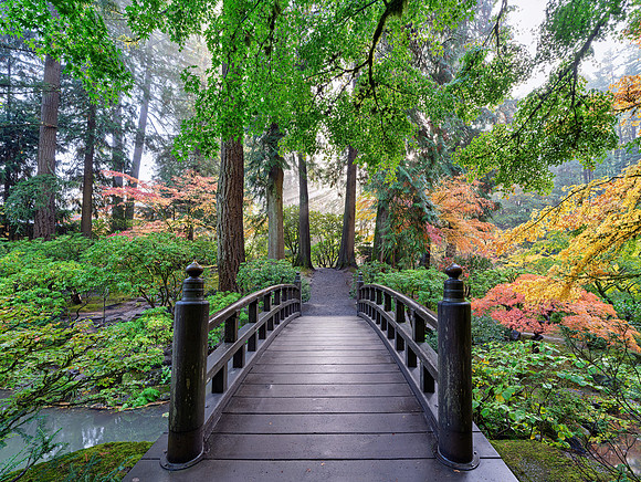 Bridge 1