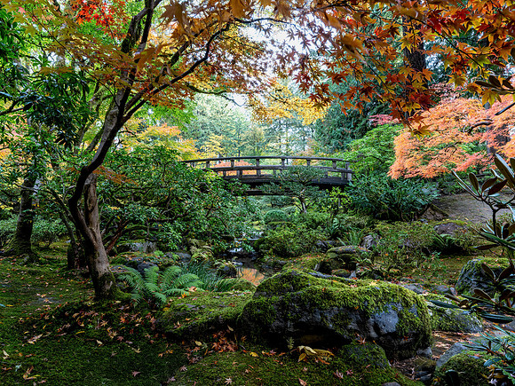 Bridge 2