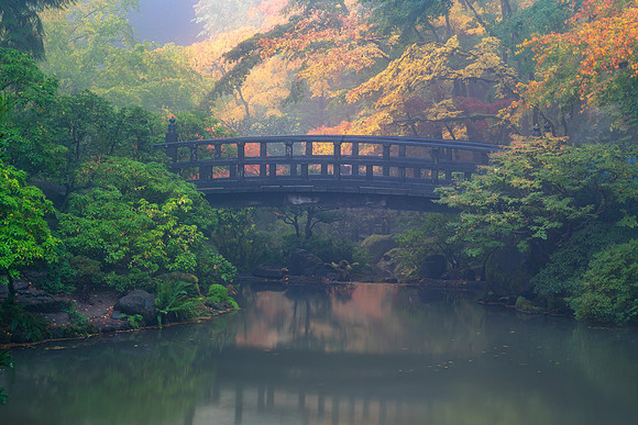Bridge in Fog