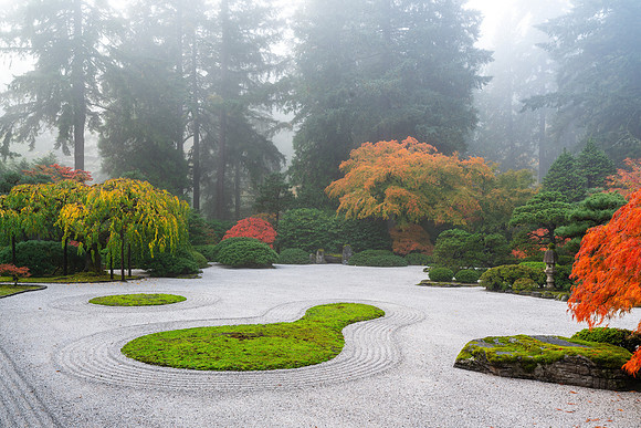 Zen Garden in Fog