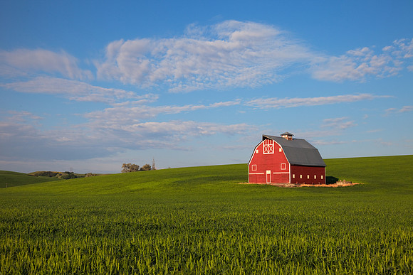 Red Barn