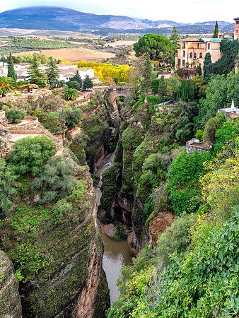 Ronda