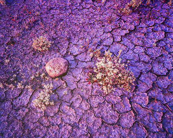 Panamint cracked Earth