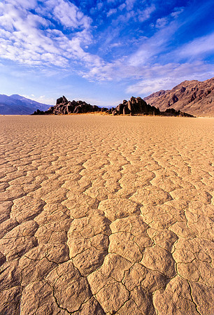 The Grandstand