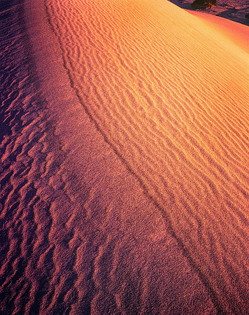 Mesquite Dunes