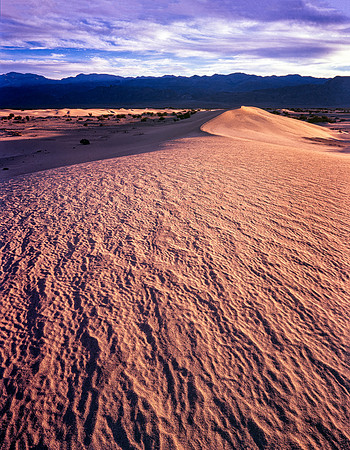 Mesquite Dunes