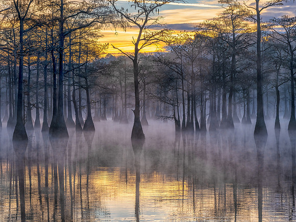 Bayou Sunrise