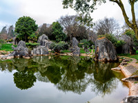 Kunming Karst Forest