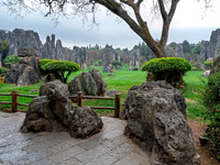 Kunming Karst Forest