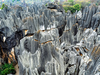Kunming Karst Forest