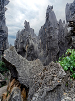 Kunming Karst Forest