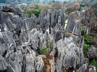 Kunming Karst Forest