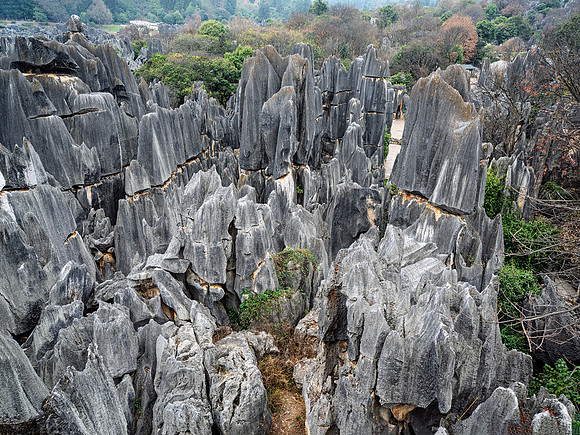 Kunming Karst Forest