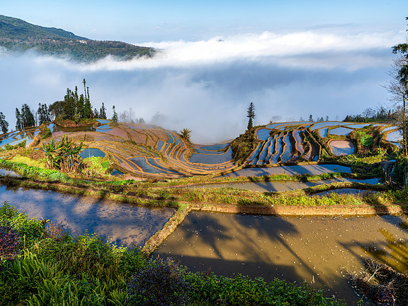 Yuanyang rice terraces