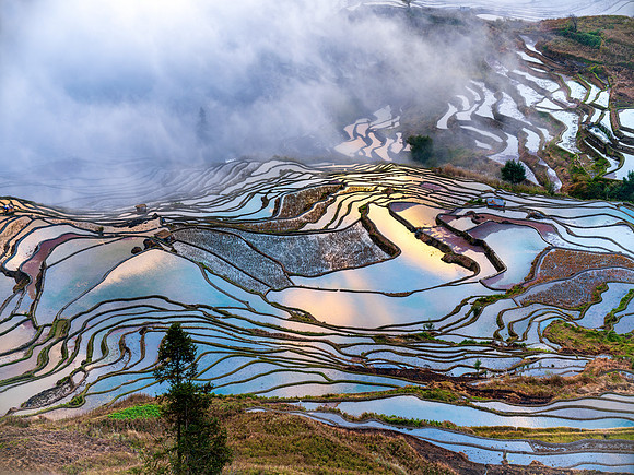 Yuanyang rice terraces