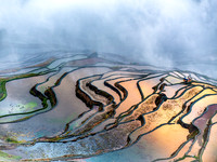 Yuanyang rice terraces