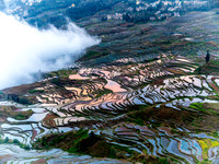 Yuanyang rice terraces