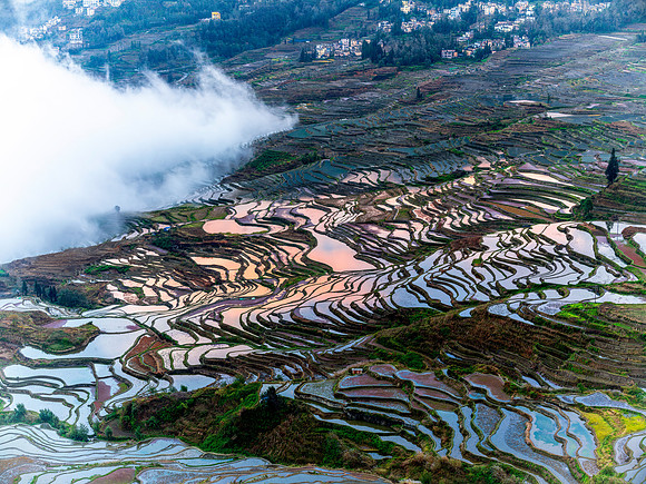 Yuanyang rice terraces