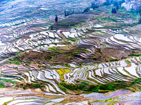 Yuanyang rice terraces