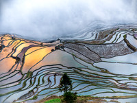 Yuanyang rice terraces