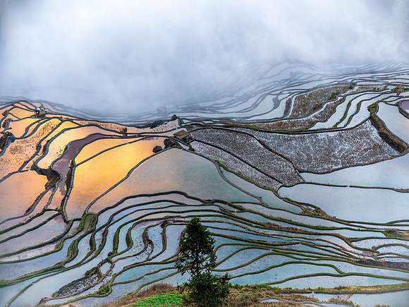 Yuanyang rice terraces
