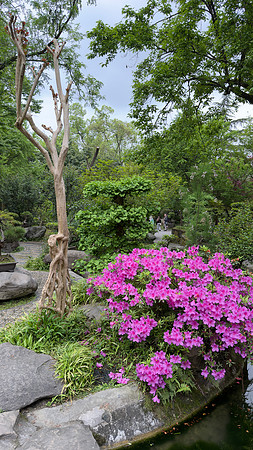 Wuhou Shrine - Chengdu