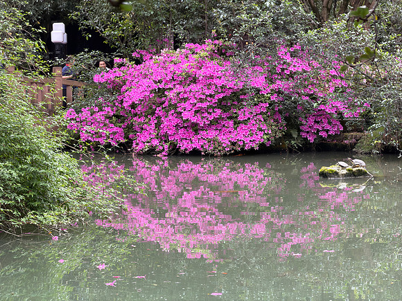 Wuhou Shrine - Chengdu