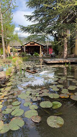 Shaxi Ancient Town