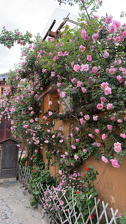 Shaxi Ancient Town