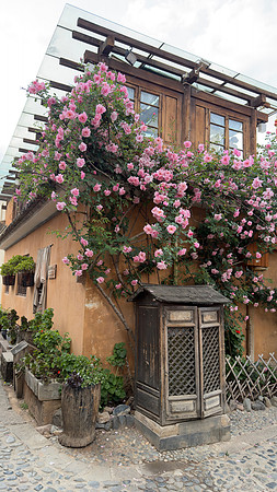 Shaxi Ancient Town