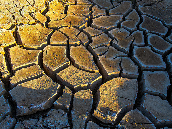 Cracked Earth