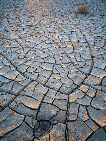 Cracked Earth