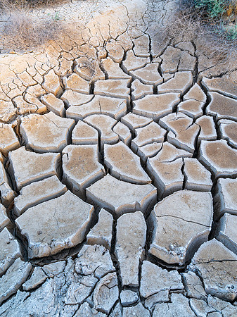 Cracked Earth