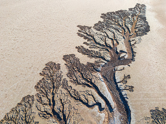 Drone Abstract