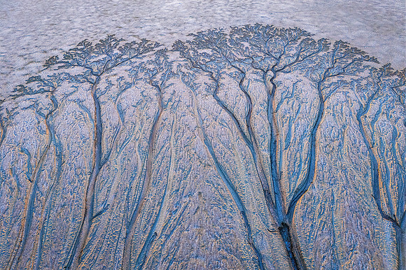 Drone Abstract