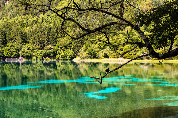 Jiuzhaigou NP