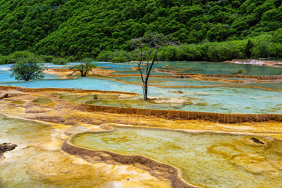Huanglong NP
