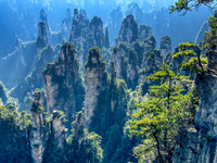 Avatar Mountains