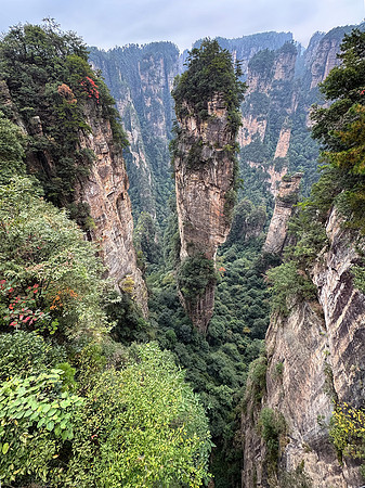 Avatar Mountains