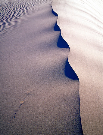 Eureka Dunes - Koan