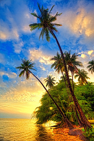 King Kamehameha's Royal Grove